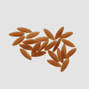 Orzo Grains Entiers